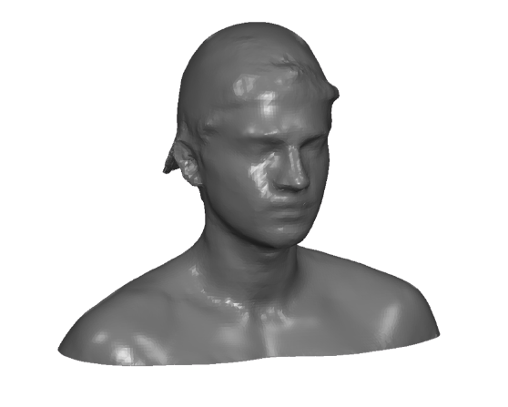 3d scan of Sina's head using an xBox Kinect